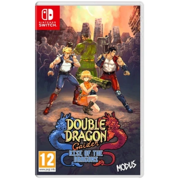 Double Dragon Gaiden Rise of the Dragons Nintendo 
