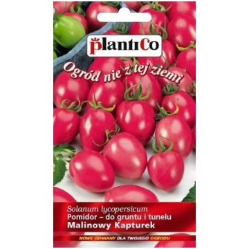 Tomāti Malinowy Kapturek 0.2 g PlantiCo