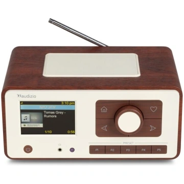 Dozza interneta radio ar DAB+ Wood Audizio