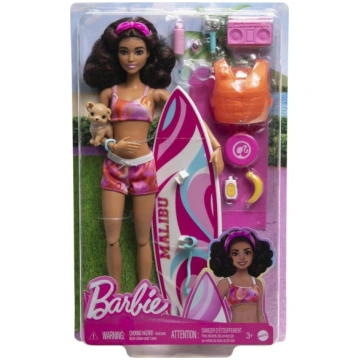 Barbie Malibu Surf Doll HPL69 ART#105357