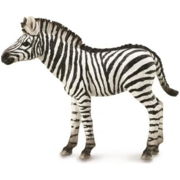 Figurka Collecta ZEBRA FOAL 004-88850 (48929008885