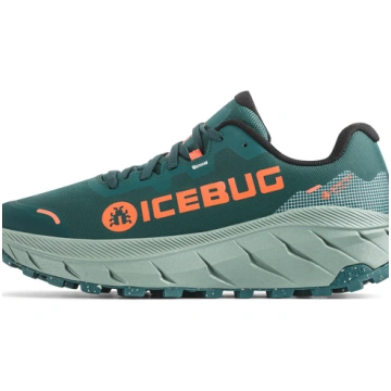 9 Icebug