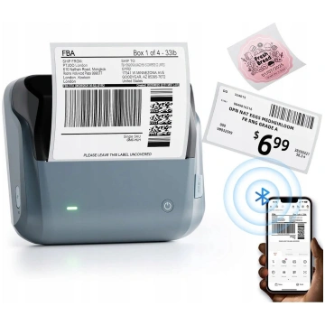 Drukarka etykiet TPG/Cognitive Niimbot B4 Portable