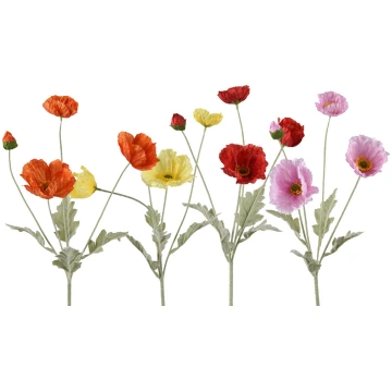 Branch with 3 poppies and a bud Casolaro Hotelleri
