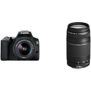 Canon EOS 250D digitālā kamera - ar objektīvu EF-S