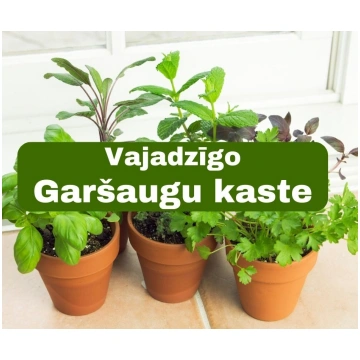 Garšaugi, kas vajadzīgi virtuvē - kaste 7gb