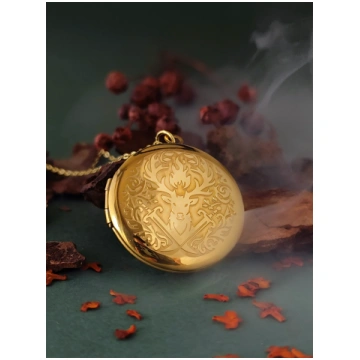 Terrasen Locket Necklace Gadget4entertainment