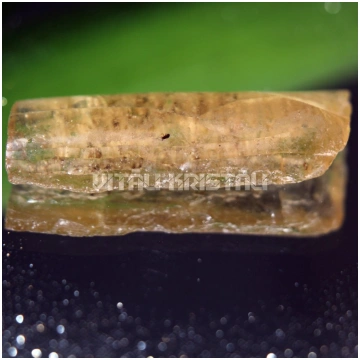 Dzintars ar ieslēgumu - kukaini 3.8 x 1.5 cm