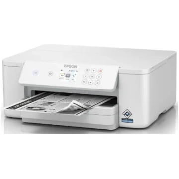 Epson Printer, 430127