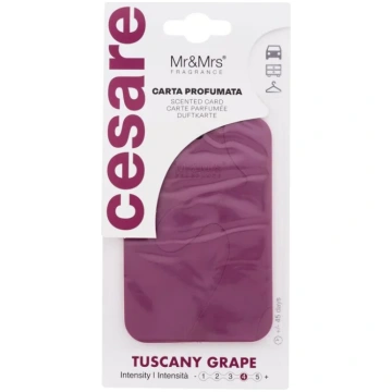 Car Air Freshener Mr&Mrs Fragrance Cesare Scented 