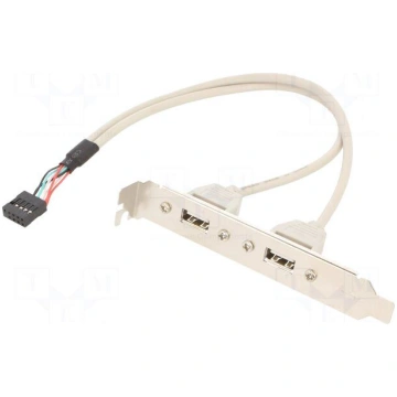Adapter | USB A socket x2,10pin pin header | 0.25m
