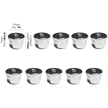 10 nuts key 19 12x1.25 l.17mm flat head