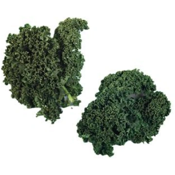 Kāposts KALE gab. - 1