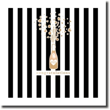 Hodgson Shimmer Fizz Bookshop