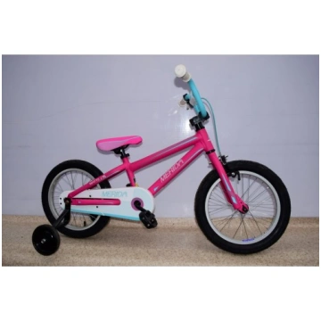 Merida matts J12