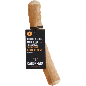 Canophera - coffee tree 18-22cm S - (CANO0123) CAN