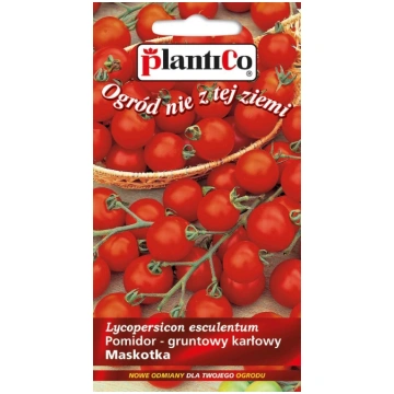 Plantico Pomidor Gruntowy Solanum Lycopersicum L. 