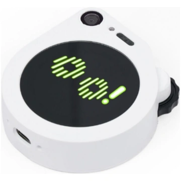 SenseCAP Watcher W1-B - AI assistant for monitorin