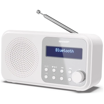 Sharp DR-P420(WH) Tokyo Portable Digital Radio, FM