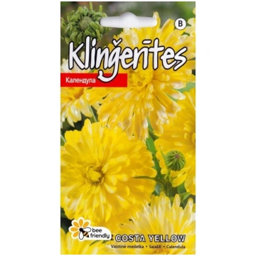 Kliņģerītes Costa Yellow sēklas 220gb Kurzemes sēk