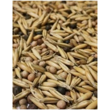 Auzu/Zirņu/Vīķu maisījums 1kg, Kukurūzas sēklas lo