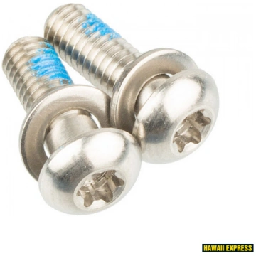 Bracket Mounting Bolts SS T25 17MM (FLAT)