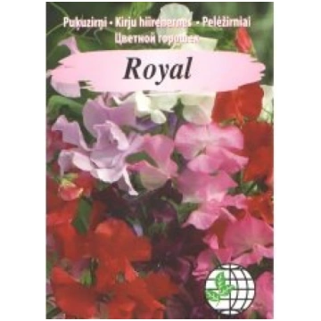 Agrimatco Sēklas puķuzirņi Royal mix 2g