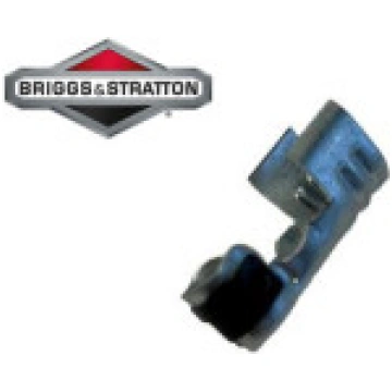 Aizdedzes sveces uzgaļa iekšējā daļa Briggs&Stratt