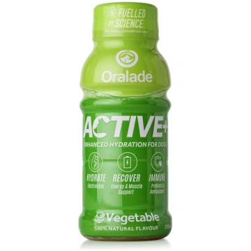 ORALADE ACTIVE 250ML AR DĀRZEŅU GARŠU SUŅIEM