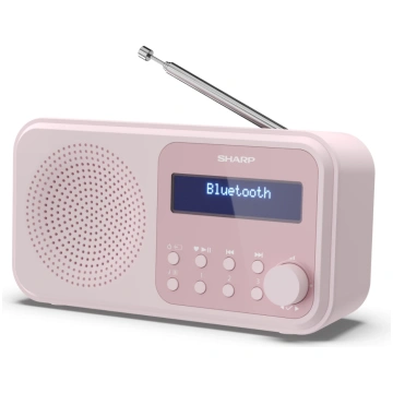 Sharp DR-P420(PK) Tokyo Portable Digital Radio, FM