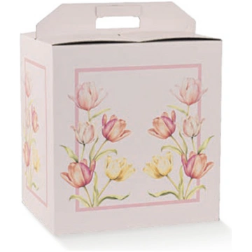 Tulips Gift Box Casolaro Hotellerie