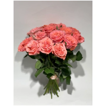 Blushing Reeva rozes 30-40cm - 39