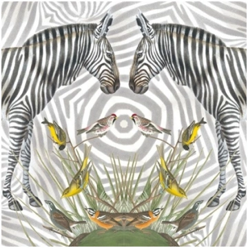 Museums & Galleries Karnet kwadrat Zebra z kopert 