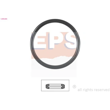 EPS 1-890-606 - Blīve, Termostats