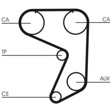 Zobsiksna CONTINENTAL CTAM CT649