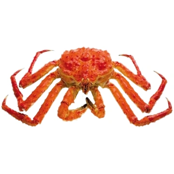 Karaliskais krabis, gatavots, vesels, saldēts, 550