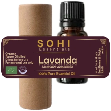 Lavanda (Organic) Lavandula augustifolia - 5