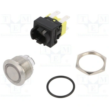 Switch: vandal resistant; Pos: 2; DPDT; 16A/250VAC