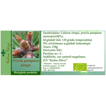 PRIEŽU PUMPURU SĪRUPS BIO