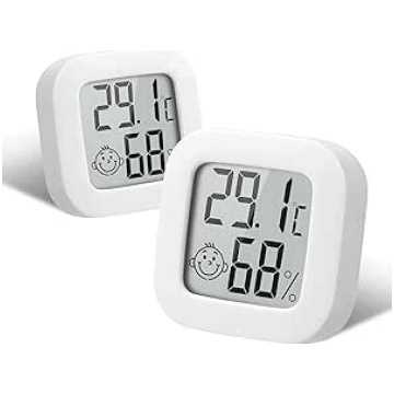 Flintronic Mini LCD Thermometer, Pack of 2 Digital