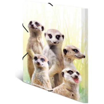 Parastā mapīte HERMA Meerkat troop