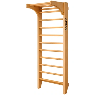 Adjustable Pull-Up Backrest - S20 | Professional D