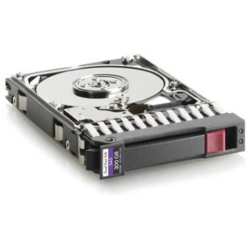 Lietots - Hewlett Packard Enterprise 300Gb 3G SAS 