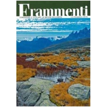 Frammenti n.6 - Dicembre 2016
