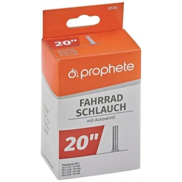 Prophete Kamera dvir. PROPHETE automatic ventilis 