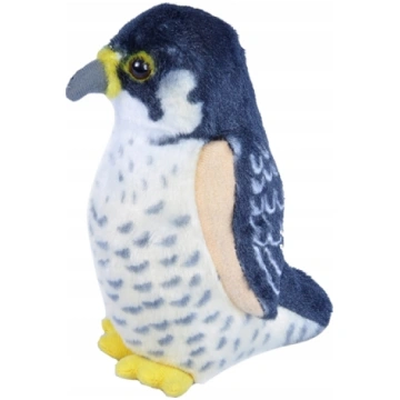 Fremeaux Wild Republic Birds with Sound Peregrine 