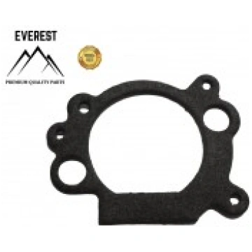 Gaisa filtra blīve BRIGGS&STRATTON OHV (692667) Ev