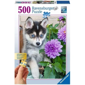 Ravensburger Puzle 500 Mīļais haskijs R 13682