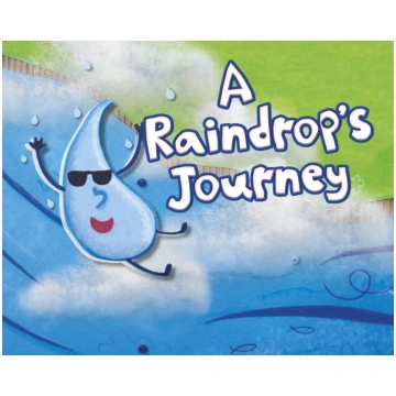 Raindrop"s Journey Suzanne Slade