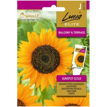 Saulespuķu dekoratīvais sunspot gold Lucia Elite